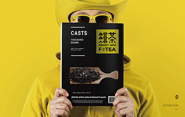 眉山绯茶品牌设计